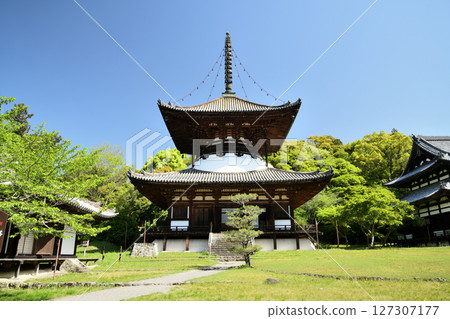 Negoro-ji Temple (Tahoto Pagoda) [Iwade City, Wakayama Prefecture] 127307177