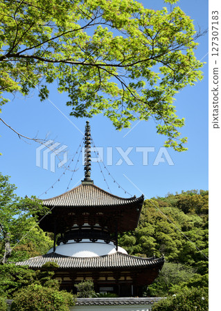 根歸寺（多寶塔）[和歌山縣岩出市] 127307183