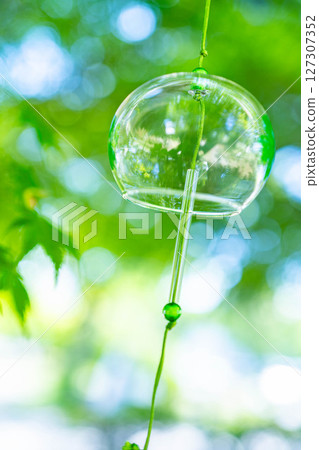 【夏季素材】風鈴、新楓葉、藍天【長野縣】 127307352