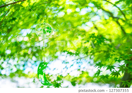 【夏季素材】風鈴、新楓葉、藍天【長野縣】 【夏季素材】風鈴、新楓葉、藍天【長野縣】 127307355
