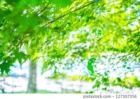 【夏季素材】風鈴、新楓葉、藍天【長野縣】 127307356