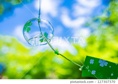 [Summer materials] Wind chimes, fresh maple leaves and blue skies [Nagano Prefecture] 127307370