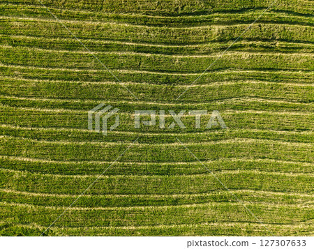 Aerial view of rural car tracks in green crop field background 127307633