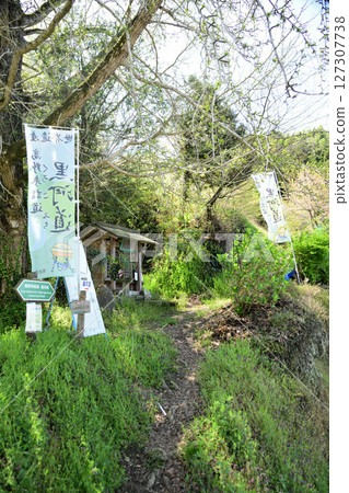 Koya Pilgrimage Route/Kurokawamichi (Miyatani Daishido) [Hashimoto City, Wakayama Prefecture] 127307738