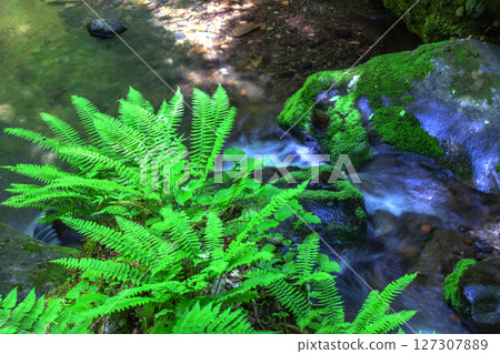 Okuyama Temple Yusenkyo Gorge 127307889