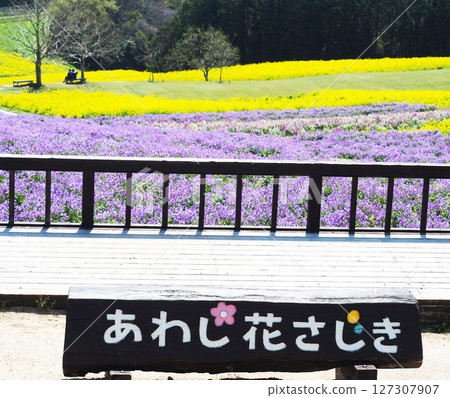 四月的兵庫縣立公園淡路花園 四月的兵庫縣立公園淡路花園 127307907