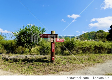 Yamanobe no Michi: A view of the signposts for the forks to the tomb of Emperor Sujin and Hibara Shrine, Sakurai City, Nara Prefecture 127308906