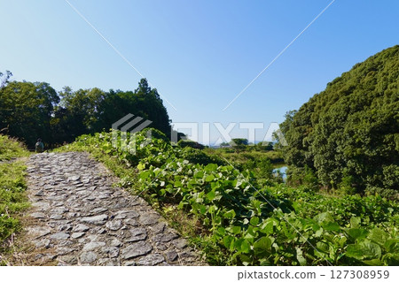 Yamanobe no Michi: A view of the stone-paved road around the edge of the moat at Andonyama Kofun (the tomb of Emperor Sujin), Tenri City, Nara Prefecture Yamanobe no Michi: A view of the stone-paved road around the edge of the moat at Andonyama Kofun (the tomb of Emperor Sujin), Tenri City, Nara Prefecture 127308959