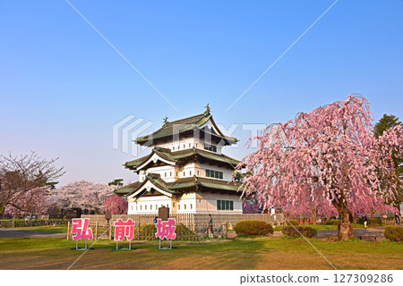 Hirosaki Park: Hirosaki Castle and cherry blossoms Hirosaki Park: Hirosaki Castle and cherry blossoms 127309286
