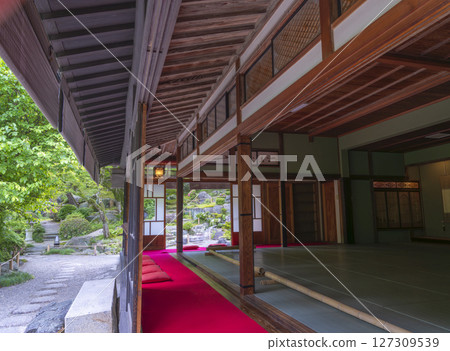 老綠房子 老綠房子 127309539