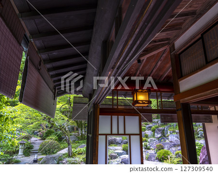 Old green house 127309540