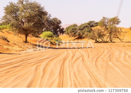 Desert landscape near Sossusvlei 127309788