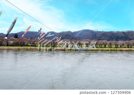 岩手縣北上展勝地的櫻花樹 岩手縣北上展勝地的櫻花樹 127309906