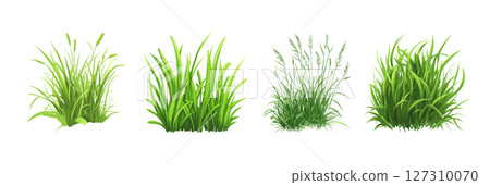 Green Grass Tufts Various Sizes Shapes for Design Projects 127310070