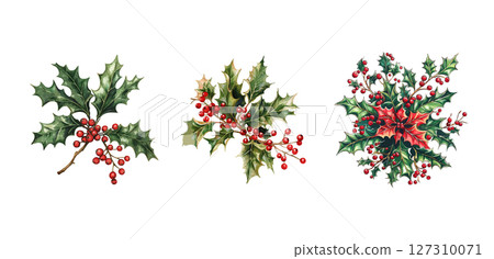 Christmas Holly Berries Botanical Illustrations for Festive Designs 127310071