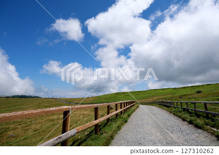 Nagano Prefecture_Utsukushigahara Plateau 6_August 2024 127310262