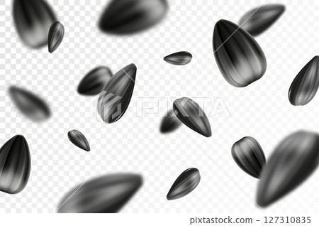 Sunflower seed background. Flying sunflower seed isolated on transparent background. Selective focus. Can be used for advertising, packaging, banner. Realistic 3d design. Vector illustration Sunflower seed background. Flying sunflower seed isolated on transparent background. Selective focus. Can be used for advertising, packaging, banner. Realistic 3d design. Vector illustration 127310835