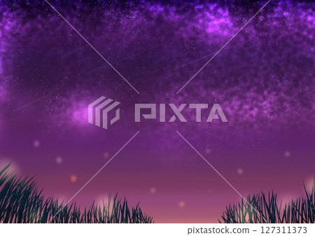 草原和夜空中閃耀的星星 127311373