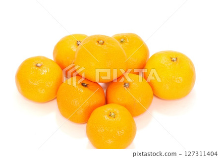 有田柑橘，多種品種，和歌山縣，明亮的背景 127311404