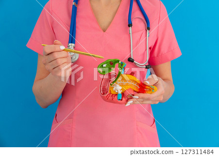 Treatment of gallbladder diseases and cholelithiasis. Doctor demonstrations gallbladder on anatomical medical model for analysing and treatment gallbladder disease 127311484