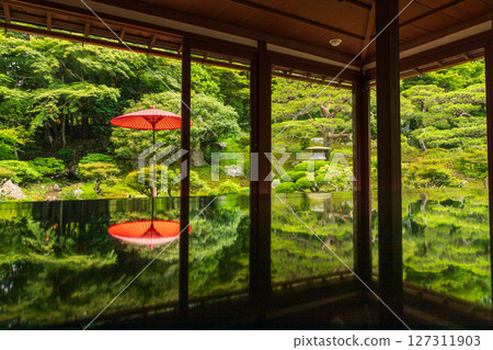 Fresh green garden from the teahouse Fresh green garden from the teahouse 127311903