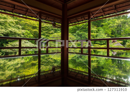 舊竹林院日本庭園的新鮮綠意 舊竹林院日本庭園的新鮮綠意 127311910