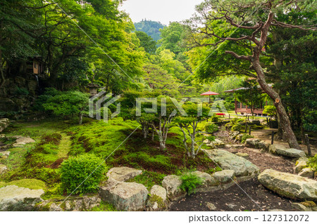 Fresh green scenic garden (former Chikurin-in) 127312072