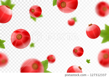 Red currant background. Flying currant with green leaves on transparent background. Falling berries from different angles. Focused and blurry objects. Realistic 3d vector illustration 127312337