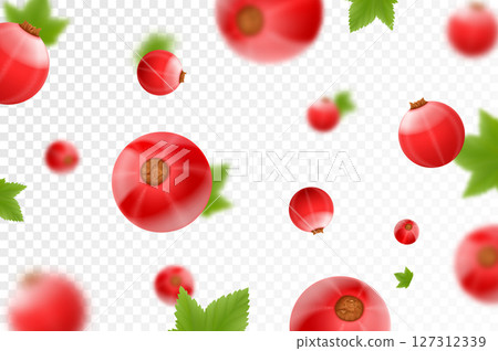 Red currant background. Flying currant with green leaves on transparent background. Falling berries from different angles. Focused and blurry objects. Realistic 3d vector illustration 127312339