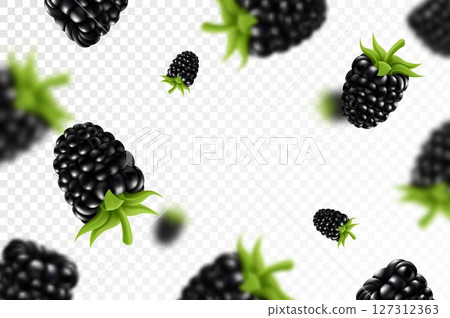 Blackberry background. Flying blackberry with green leaf on transparent background. Blackberry falling from different angles. Focused and blurry objects. 3D realistic vector. 127312363