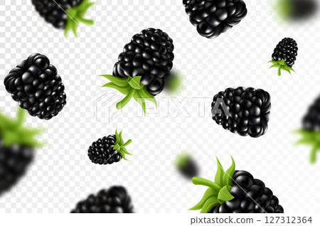 Blackberry background. Flying blackberry with green leaf on transparent background. Blackberry falling from different angles. Focused and blurry objects. 3D realistic vector. 127312364