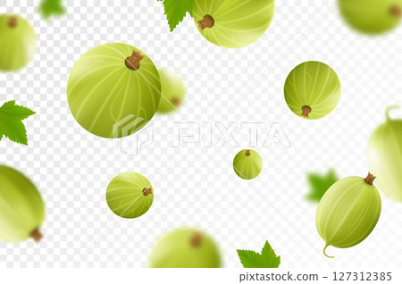 Flying gooseberry, isolated on transparent background. Flying gooseberry with blurry defocused effect. Can be used for advertising, packaging, banner, poster, print. Realistic 3d vector design 127312385