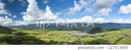 Aerial Panorama Drone Picture of Beautiful rice fields at sunrise, Chihshang Township, Taiwan 127313093
