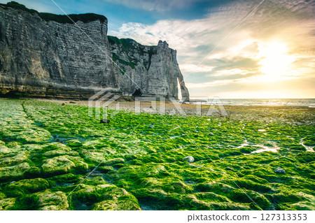 Magnificent mossy beach and spectacular sunset near Etretat, Normandy, France 127313353