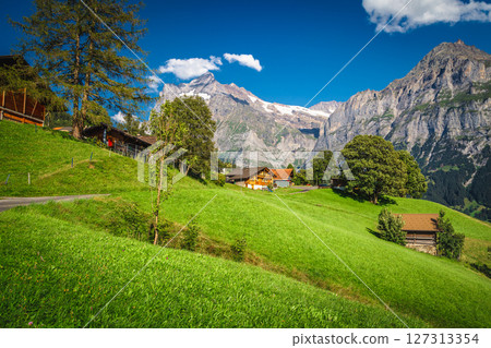 Alpine houses on the slope with picturesque view, Grindelwald, Switzerland 127313354