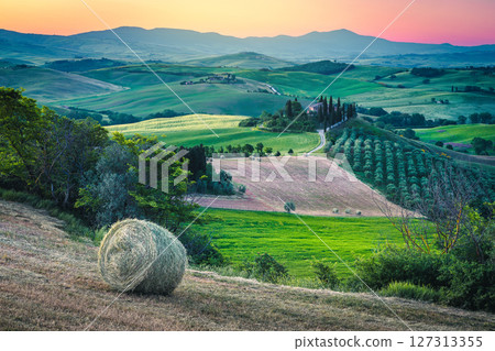 Dawn scenery with hay bale on the slope in Tuscany Dawn scenery with hay bale on the slope in Tuscany 127313355