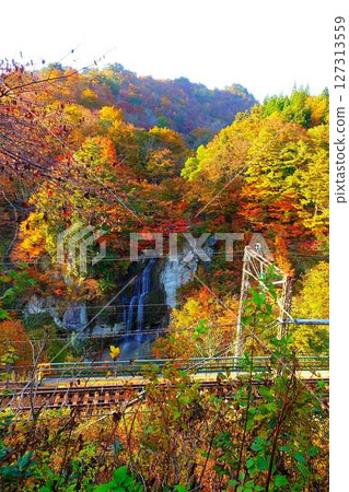 重城山 紅葉川溪谷 紅葉 黃葉 富士花瀑布 127313559