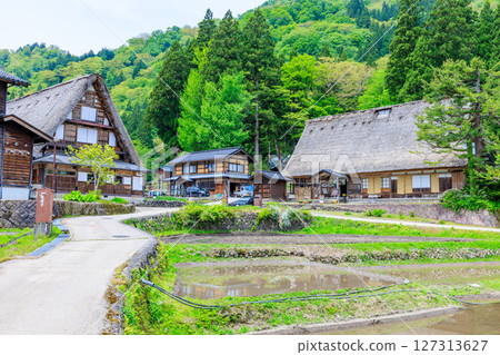 富山縣南礪市五簇山初夏的相倉合掌村 富山縣南礪市五簇山初夏的相倉合掌村 127313627