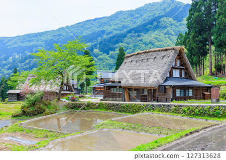 Ainokura Gassho-style Village in early summer, Gokayama, Nanto City, Toyama Prefecture Ainokura Gassho-style Village in early summer, Gokayama, Nanto City, Toyama Prefecture 127313628