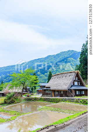 Ainokura Gassho-style Village in early summer, Gokayama, Nanto City, Toyama Prefecture Ainokura Gassho-style Village in early summer, Gokayama, Nanto City, Toyama Prefecture 127313630