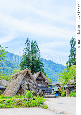 Ainokura Gassho-style Village in early summer, Gokayama, Nanto City, Toyama Prefecture 127313657