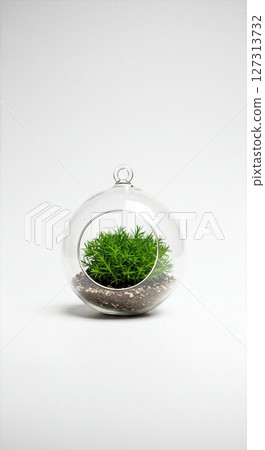 Glass Terrarium with Lush Green Plant, Minimalist Indoor Garden, Modern Home Decor, Eco-Friendly Botanical Arrangement, Fresh Foliage in Spherical Vase 127313732