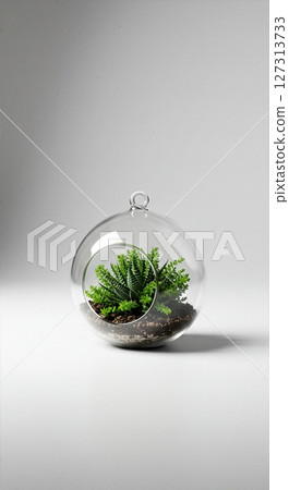 Glass Terrarium with Lush Green Plant, Minimalist Indoor Garden, Modern Home Decor, Eco-Friendly Botanical Arrangement, Fresh Foliage in Spherical Vase 127313733