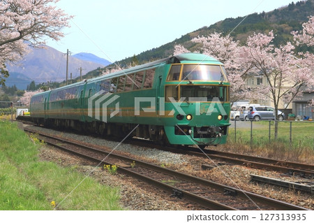The "Yufuin no Mori" train runs along the cherry blossom-lined streets (Minami-Yufu Station) The "Yufuin no Mori" train runs along the cherry blossom-lined streets (Minami-Yufu Station) 127313935