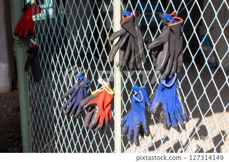 Rubber gloves hanging out to dry on a wire fence Rubber gloves hanging out to dry on a wire fence 127314149