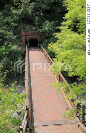 Minetopia Besshi 的旅遊隧道入口 Minetopia Besshi 的旅遊隧道入口 127314227