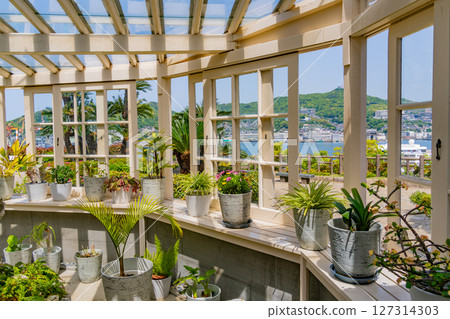 (Nagasaki Prefecture) Glover Garden and Mansion, sunny day 127314303