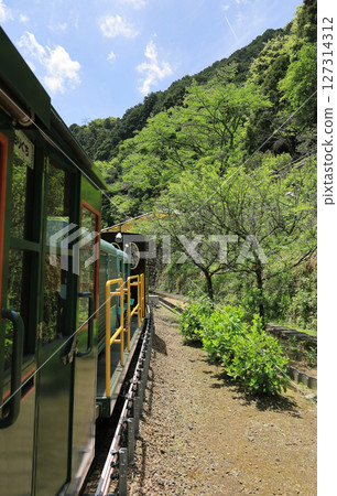 Minetopia Besshi's Sightseeing Mine Railway 127314312