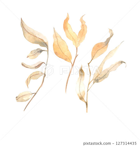 Watercolor hand drawn set with dry leaves 127314435