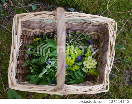 Basket full of herbs and flowers is sitting on the ground 127314540